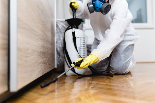 Best Local Pest Control Services  in Mount Ayr, IA