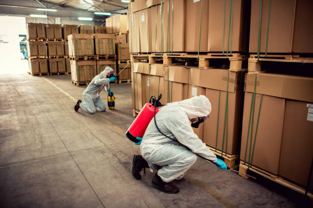 Best Pest Inspection Near Me  in Mount Ayr, IA
