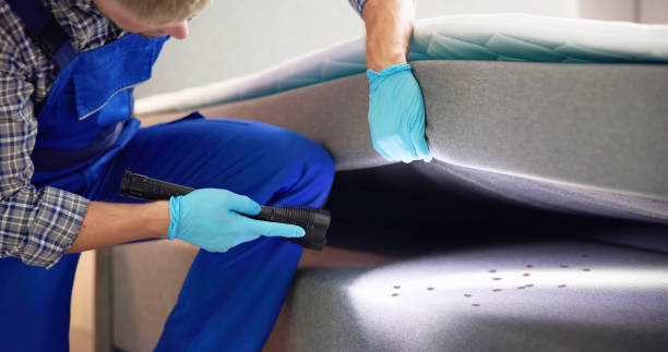 Best Best Pest Control Companies  in Mount Ayr, IA