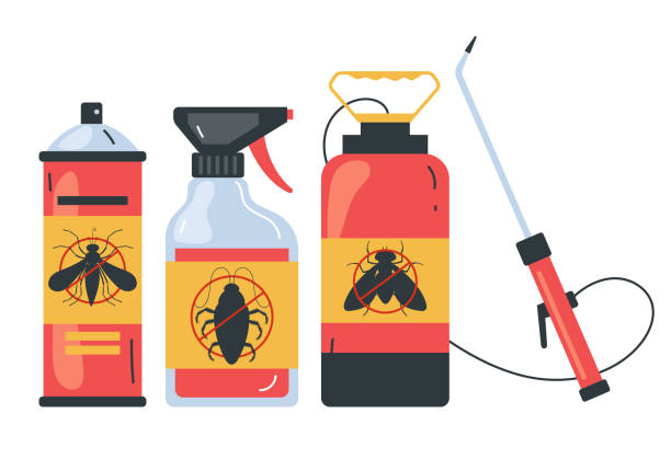 Best Ant Control Services  in Mount Ayr, IA