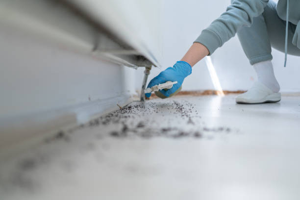 Best Pest Removal Services  in Mount Ayr, IA